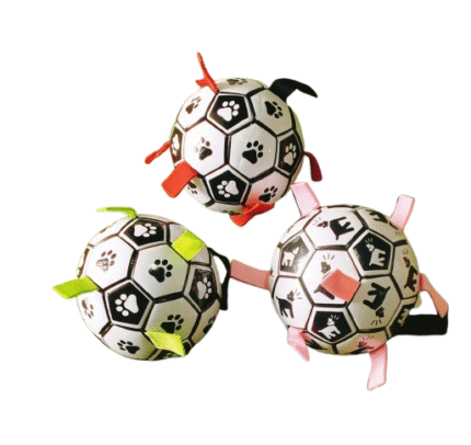 Dog Soccer Ball with Grab Tabs and Straps